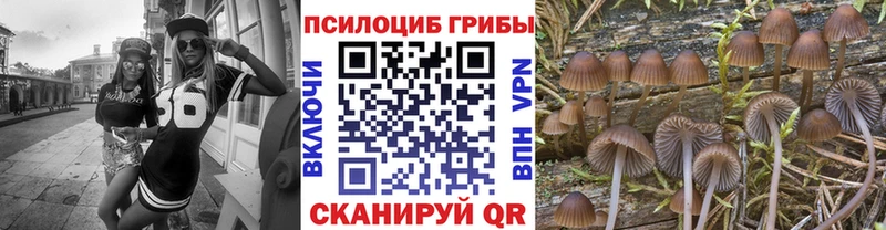 даркнет сайт  Туринск  Галлюциногенные грибы ЛСД 